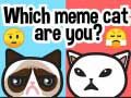 لعبة أي قط ميمي أنت؟ على الانترنت