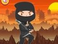 لعبة لعبة ألغاز نينجا مدرب على الانترنت