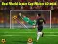 لعبة كأس العالم لكرة القدم الحقيقي فليكر 3D 2023 على الانترنت