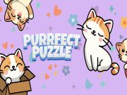 لعبة Purrfect ﺰﻐﻠﻟﺍ على الانترنت