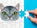 لعبة تحدي الألغاز الأبسيني على الانترنت لعبة تحدي الألغاز الأبسيني على الانترنت