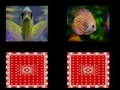 لعبة ذاكرة السمك على الانترنت