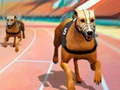 لعبة سباقات الكلاب3D على الانترنت لعبة سباقات الكلاب3D على الانترنت