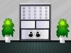 لعبة الهروب من البيت الأبيض على الانترنت