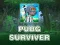 لعبة PUBG الناجي على الانترنت