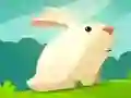 لعبة الأرنب الجشع على الانترنت