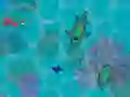 لعبة شاركز.أيو على الانترنت