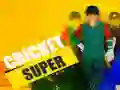 لعبة كريكيت سوبر على الانترنت