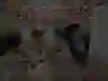 لعبة قصص الحراس الليلين: مستشفى الزومبي على الانترنت لعبة قصص الحراس الليلين: مستشفى الزومبي على الانترنت