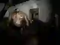 لعبة ملاذ صامت على الانترنت لعبة ملاذ صامت على الانترنت