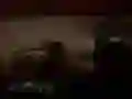 لعبة سفاري الغابة المخيف على الانترنت لعبة سفاري الغابة المخيف على الانترنت