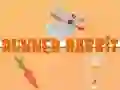 لعبة الأرنب العداء على الانترنت لعبة الأرنب العداء على الانترنت