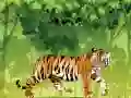 لعبة تلوين النمر الغاضب على الانترنت