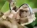 لعبة لعبة الألغاز الشمبانزي على الانترنت لعبة لعبة الألغاز الشمبانزي على الانترنت