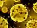 لعبة انزلاق فيروس كورونا على الانترنت لعبة انزلاق فيروس كورونا على الانترنت