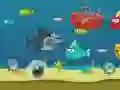لعبة قرش مجنون على الانترنت لعبة قرش مجنون على الانترنت