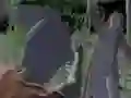 لعبة الفريق غير المتوفى الفصل 4. نهاية الصيد على الانترنت لعبة الفريق غير المتوفى الفصل 4. نهاية الصيد على الانترنت