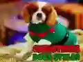لعبة أساليب كلاب عيد الميلاد على الانترنت لعبة أساليب كلاب عيد الميلاد على الانترنت