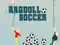 لعبة كرة القدم رagdoll على الانترنت