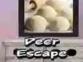 لعبة هروب الغزال على الانترنت لعبة هروب الغزال على الانترنت