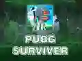 لعبة PUBG الناجي على الانترنت لعبة PUBG الناجي على الانترنت