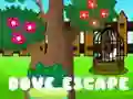 لعبة هروب الحمام على الانترنت لعبة هروب الحمام على الانترنت