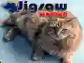 لعبة ماستر الألغاز على الانترنت لعبة ماستر الألغاز على الانترنت