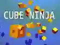 لعبة نينجا المكعب على الانترنت لعبة نينجا المكعب على الانترنت