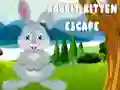 لعبة هروب الأرنب والهر على الانترنت لعبة هروب الأرنب والهر على الانترنت