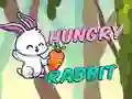 لعبة أرنب جائع على الانترنت
