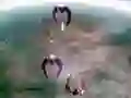 لعبة سكيب شاتر على الانترنت