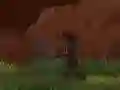 لعبة نينجا المرحلة على الانترنت لعبة نينجا المرحلة على الانترنت