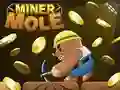 لعبة فأر المنجم على الانترنت لعبة فأر المنجم على الانترنت
