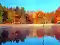 لعبة محاكي صيد الأسماك على الإنترنت على الانترنت