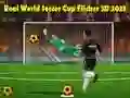 لعبة كأس العالم لكرة القدم الحقيقي فليكر 3D 2023 على الانترنت
