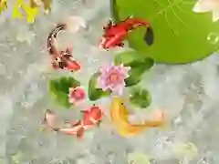 لعبة بركة سمك كوي على الانترنت