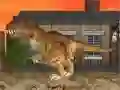 لعبة لا ريكس على الانترنت