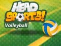 لعبة كرة الطائرة من Head Sports على الانترنت