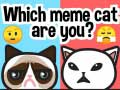 لعبة أي قط ميمي أنت؟ على الانترنت