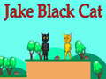 لعبة Jake القط الأسود على الانترنت