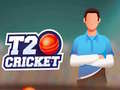 لعبة كريكيت T20 على الانترنت