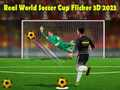 لعبة كأس العالم لكرة القدم الحقيقي فليكر 3D 2023 على الانترنت